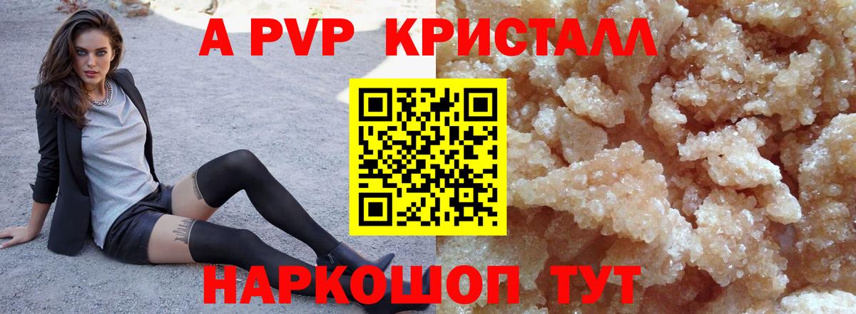 A-PVP СК Архангельск