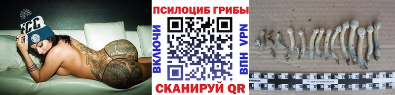 Галлюциногенные грибы Magic Shrooms  Архангельск 